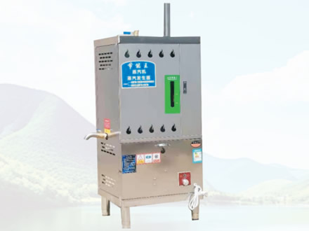 蒸汽发生器标准款